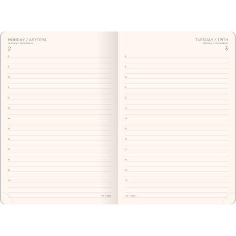 Ημερολόγιο ημερήσιο The Writing Fields Precious 4900 2024 14x21εκ ασημί